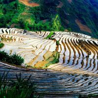 12 cảnh sắc tuyệt đẹp ở Việt Nam không nên bỏ lỡ sau dịch Covid