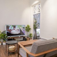 Không gian của cây và thú cưng cho những ngày giãn cách-8