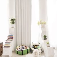 Không gian của cây và thú cưng cho những ngày giãn cách-2