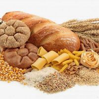 8 cách giúp giảm mỡ bắp tay và vai hiệu quả cho phái đẹp-8