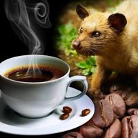 Top 10 hương vị cà phê hảo hạng trên thế giới