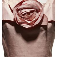 Dior and Roses - Triển lãm hoa hồng trong thế giới thời trang Dior-4