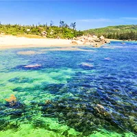 Đẹp hút hồn mùa biển rong rêu - 2