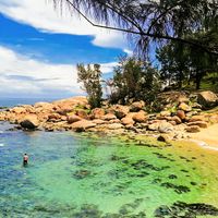 Đẹp hút hồn mùa biển rong rêu - 4