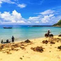 Đẹp hút hồn mùa biển rong rêu - 6