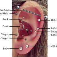 Các vị trí xỏ khuyên trên cơ thể và những điều cần lưu ý-7