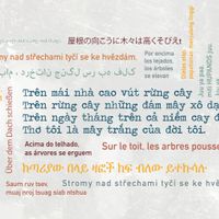 Các lớp học trực tuyến vừa thú vị vừa thư giãn cho những ngày giãn cách-3