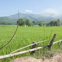 Về vùng “đất võ, trời văn” ngắm bức tranh quê mộc mạc - 1