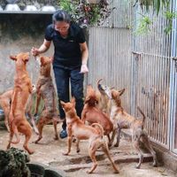 Choáng ngợp những bộ sưu tập thú cưng siêu đắt đỏ của đại gia Việt - 6