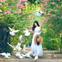 Mê mẩn đường hoa tường vi, đẹp tựa vườn thượng uyển ở trời Âu - 3