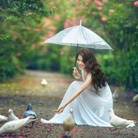 Mê mẩn đường hoa tường vi, đẹp tựa vườn thượng uyển ở trời Âu - 6