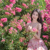 Mê mẩn đường hoa tường vi, đẹp tựa vườn thượng uyển ở trời Âu - 2