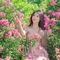 Mê mẩn đường hoa tường vi, đẹp tựa vườn thượng uyển ở trời Âu - 1