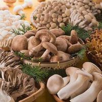 Top 6 loại nấm đắt đỏ bật nhất hiện nay