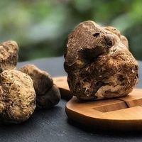 Top 6 loại nấm đắt đỏ bật nhất hiện nay