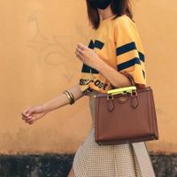 Màn “tái sinh” đầy ấn tượng của Gucci Diana Bag