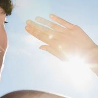 6 loại thực phẩm giúp chống nắng cho da bạn nên bổ sung vào bữa sáng