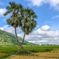 Du lịch qua ảnh Một ngày về mảnh đất vùng biên xinh đẹp