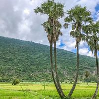 Du lịch qua ảnh: Một ngày về mảnh đất vùng biên xinh đẹp - 4