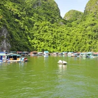 Làng chài Cửa Vạn sánh vai cùng những ngôi làng đẹp nhất trên thế giới