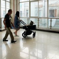 Nhà hàng dành cho thú cưng đầu tiên tại Thượng Hải-8