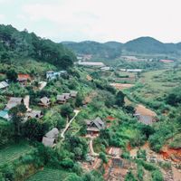 Ảnh trong bài