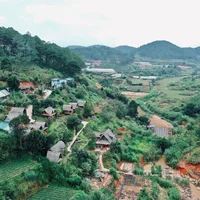 Ảnh trong bài