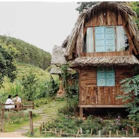Ảnh trong bài