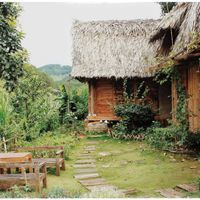 Ảnh trong bài