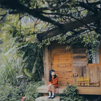 Ảnh trong bài