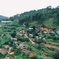 Ảnh trong bài