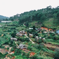 Ảnh trong bài