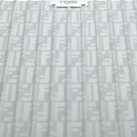 RIMOWA Fendi