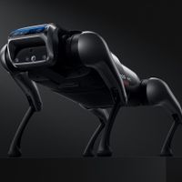 Xiaomi ra mắt robot thú cưng CyberDog
