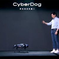 Xiaomi CyberDog
