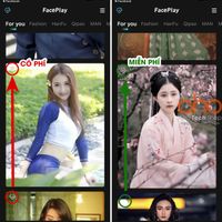 Những nguy cơ tiềm ẩn khi sử dụng FacePlay-3