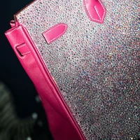 Chiếc túi Birkin đính 60.000 viên pha lê Swarovski của Paris Hilton-3