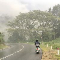 Top 5 cung đường đèo đẹp nhất ở Việt Nam-4