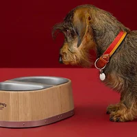 Hermès ra mắt bát đựng thức ăn cho thú cưng có giá 26 triệu VNĐ