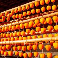 Những điều thú vị về quả hồng, loại trái cây đặc sản của mùa thu Nhật Bản-5