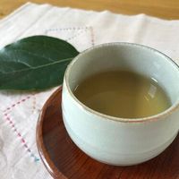 Những điều thú vị về quả hồng, loại trái cây đặc sản của mùa thu Nhật Bản-7