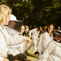 Women for Bees - Sự góp mặt của Angelina Jolie, Guerlain, Unesco và OFA