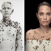 Women for Bees - Sự góp mặt của Angelina Jolie, Guerlain, Unesco và OFA-6