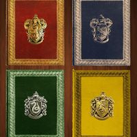 Bộ tứ bảng màu mắt lấy cảm hứng từ 4 Nhà Gryffindor, Slytherin, Ravenclaw và Hufflepuff trong bộ truyện đình đám 