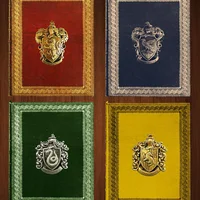 Bộ tứ bảng màu mắt lấy cảm hứng từ 4 Nhà Gryffindor, Slytherin, Ravenclaw và Hufflepuff trong bộ truyện đình đám 