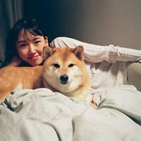 Chú chó nguyên gốc của Meme Cheems nổi tiếng-8