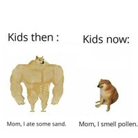 Chú chó nguyên gốc của Meme Cheems nổi tiếng-4