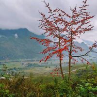 Nặm Đăm - bản làng ngủ quên dưới chân Cổng Trời - 9