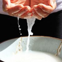 Sở hữu ngay bí quyết làm đẹp đơn giản tại nhà từ nước vo gạo