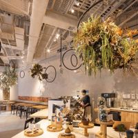 Khám phá cafe thiên nhiên “cực hot” tại Hồng Kông